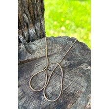 Kyoto Dizayn Snake Model Rose Gold Renk Şık Tasarım 316L Çelik 50CM Kolye