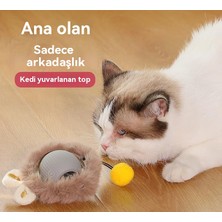 Yummy Kedi Oyuncak Topu Merhaba Topu Evcil Hayvan Sıkıcı Peluş Komik Kedi Topu (Yurt Dışından)