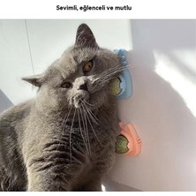 Yummy Kedi Nipleri Toplarıkedi Oyuncaklarıevcil Hayvan Malzemelericatnip (Yurt Dışından)