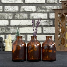 3\\\\\\\'lü 50 ml Amber Kahverengi Cam Şişe Vazo