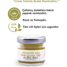 Dudak Bakım Kremi - Lip Balm (Limon Kabuğu & Shea Butter Yağlı) 29 ml.