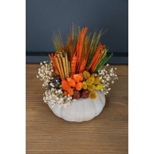 Yapay Çiçek Deposu Beton Kabak Saksıda Kuru Çiçek Tanzimi Turuncu Tonlar
