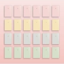 Akıllı Adam Yayınları 24'lü Pastel Çizgisiz 10X15 Defter Seti (4 Renkten Adet)