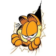 Quart Aksesuar 13 x 8,5 cm Garfield Sticker Motor Araba Kask Laptop Sticker