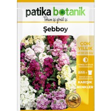 Patika Botanik 100 Adet Şebboy (Mathiola Incana) Çiçek Tohumu