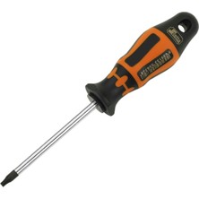 Retta RXT1020 Torx Uç Delikli Tornavida T20X100 mm