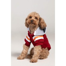 Köpek Kıyafeti, Bordo Brooklyn Köpek Hoodie, Küçük Irk, Orta Irk Ve Büyük Irk Köpek Kıyafeti