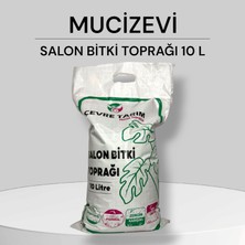 Çevre Tarım Mucizevi 10L Salon Bitki Toprağı