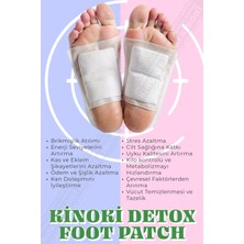 Kinoki 6 Adet | Detoks Ayak Bandı , Foot Patch Toksn Atıcı Detox Ayak Detoksu Bantı