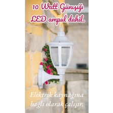 10 Watt Günışığı Ampullü Dekoratif  Bahçe Duvar Aydınlatma Armatürü, Bahçe, Teras, Balkon Apliği