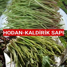 Nutyen 500 Gram Kaldirik-Hodan-Ispıt Otu Sapı