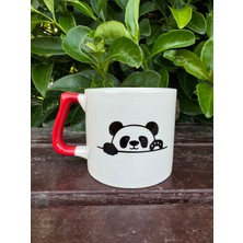 Home Panda Kupa