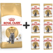 Royal Canin British Shorthair Yetişkin Kedi Maması 4 kg + 6 Adet Yaş Mama
