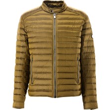 Giovane Gentile Mont / Kaban
