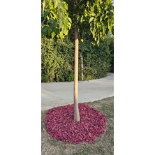 Peysan Dekoratif Pembe Renkli Ahşap Malç 40 Litre 2-5 cm Renkli Ağaç Kabuğu Renkli Ağaç Yongası Bahçe Dekor Peyzaj Color Mulch