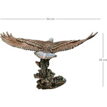 Rakun Home Kartal Biblo - Balık Avı