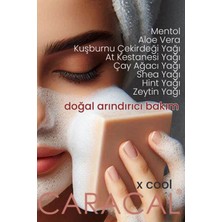 Caracal Xcool Yağlı Ciltler İçin Arındırıcı Cilt Bakım Sabunu Çay Ağacı Aloe Vera Mentol At Kestanesi