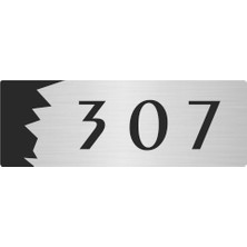 Özarslan Dizayn Metal Departman Kapı Isimliği Yönlendirme Levhası 307 7X20 cm Gümüş Renk