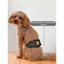 Salya Store Erkek Köpek Çiş Bezleri - 3'lü Avantajlı Paket | Sızdırmaz ve Yıkanabilir Erkek Köpek Külotu | Yavru ve Idrar Kaçıran Köpekler Için Ideal