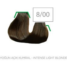 Master Colorist 60 Ml Tüp Boya Birbirinden Harika 60 Renk Varyasyonu 8/00 Yoğun Açık Kumral