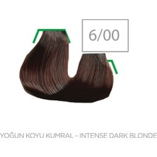 Master Colorist 60 Ml Tüp Boya Birbirinden Harika 60 Renk Varyasyonu 6/00 Yoğun Koyu Kumral