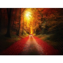 Venspor Sonbahar Temalı, Orman Yolu 200X150CM Stüdyo Fonu Arka Plan