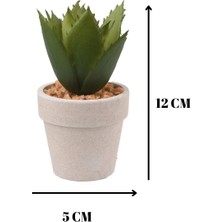 Dekoratif Agave Bovicornuta Yapay Çiçek