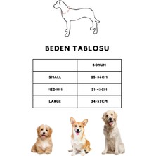 ‘’ Bow Tie ‘’ Fular Tasma - Papyon Tasma - Gezdirme Kayışı - 3 Parça Köpek Gezdirme Seti