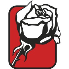 Reysa Tasarım Gül Sticker 10X10 Cmrenkli Sticker