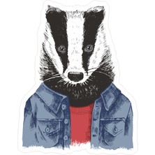 Reysa Tasarım Rakun Sticker  10X10 Cmrenkli Sticker