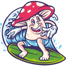 Reysa Tasarım Sörf Yapan Mantar Sticker 10X10 Cmrenkli Sticker