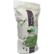 Moringantep Moringa Öğütülmüş Yaprak Çayı