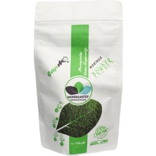 Moringantep Moringa Tozu