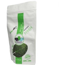 Moringantep Moringa Tozu