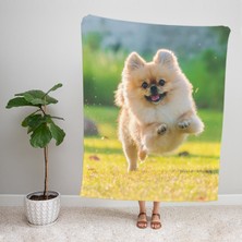 Ejoya Modern Desenli Polar Tv Battaniyesi 90470