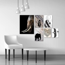 Ejoya Fil 6'li Tablo Seti 89499