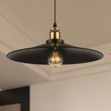 Riolight  Modern,vintage,rustik Siyah 1XE27 Duylu Tekli Metal Sarkıt Avize ÇAP:38CM