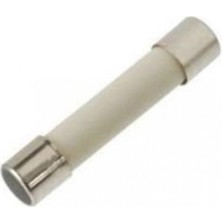 Labshop41 Seramik Sigorta 10.0A 250V (6X30MM) Hızlı x 1 Adet  (RF012)