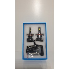 Graf H11 Glv (Canbus) LED x Enon