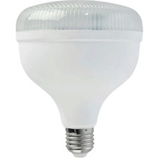 Horoz 20W Crystal-20 LED Torch Ampul 6400K