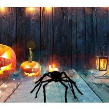 Kidspartim Halloween Örümcek Figür 30 cm Siyah