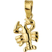 goldkupe 14 Ayar Altın Yengeç Burç Kolye Ucu 0,58 gr