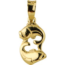 goldkupe 14 Ayar Altın Balık Burç Kolye Ucu 0,67 gr