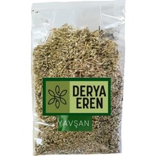 Derya Eren Yavşan Pelin (Artemisia) 250gr