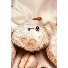 Mooni Accessories Toplu Hologram Paslanmaz Çelik Cerrahi Piercing Tragus Helix