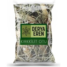 Derya Eren Kırkkilit Otu At Kuyruğu Bitkisi 100G