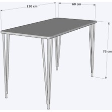 nesu home 60 x 120 cm metal ayaklı mutfak masası yemek masası çalışma masası