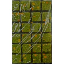 Sazan  Yemi(Yeşil Tuttu  Tuttu Furutti Aromalı Mısır  Küspesi)