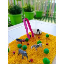 Mucit Kids Orman Hayvanları Temalı Duyusal Oyun Seti (2-5 Yaş) - Montessori Oyuncak