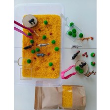 Mucit Kids Orman Hayvanları Temalı Duyusal Oyun Seti (2-5 Yaş) - Montessori Oyuncak